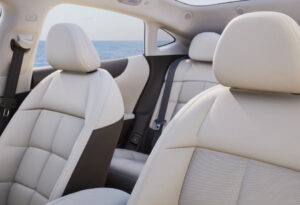 Seat Texture-Beige