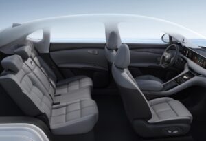 Transparent Roof-LHD-Grey